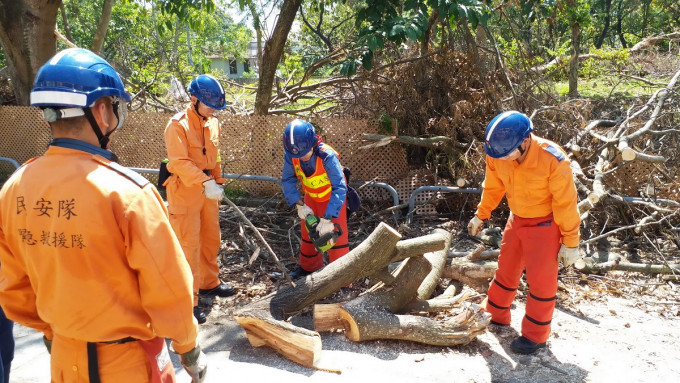 民安隊隊員將倒塌的巨大樹幹切成小段，以便移走。政府新聞處圖片