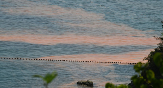 塔门深湾一带发现红潮。资料图片