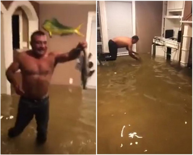 男子在1呎水深的客廳裏撲向水中捉大魚。網圖