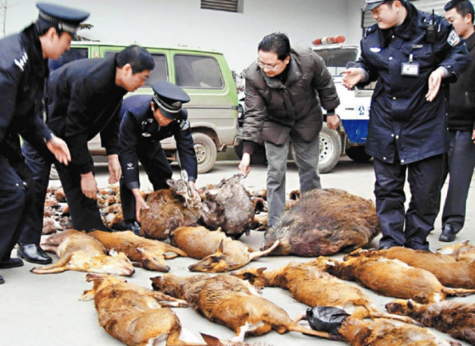 多地近來嚴查野生動物販賣案，部分省市出台禁止濫食和交易野生動物的地方法規。圖為一批被查獲的野生動物。資料圖片