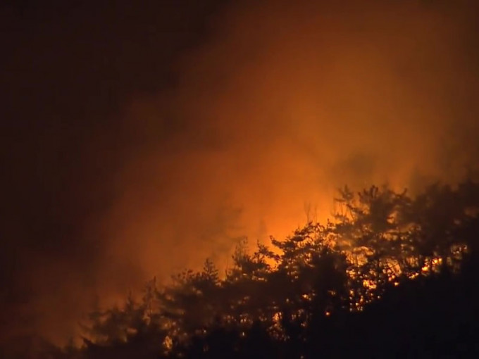 釜山海雲台區森林大火。（網圖）