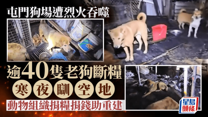 屯門狗場燒通頂如廢墟 逾40隻老狗斷糧睡空地 動物組織捐錢助重建