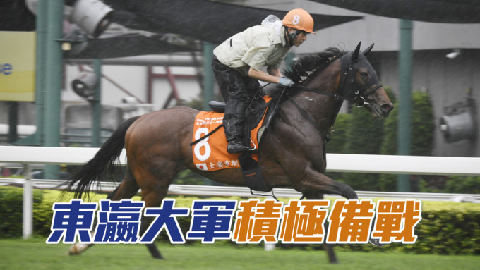 冠軍賽馬日八匹日本代表參賽馬，以及英國代表馬「譽滿杜拜」，今早均在沙田馬場草地跑道出試。
