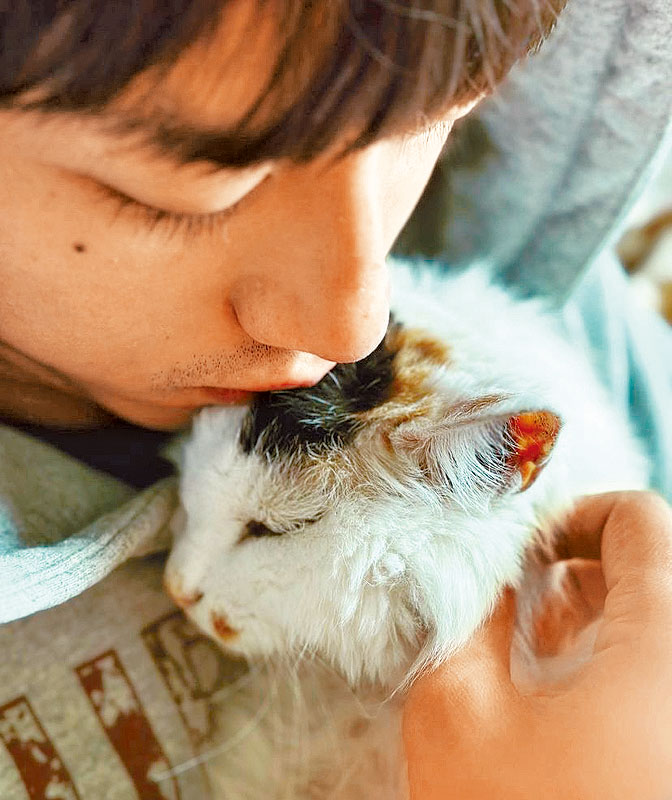 AK分享与爱猫的生活点滴。