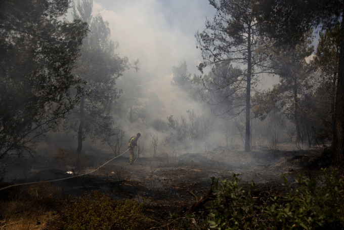 山火造成以色列至少17平方公里林木焚毁。AP图片