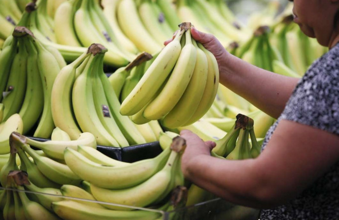 食香蕉都要精明。AP圖片