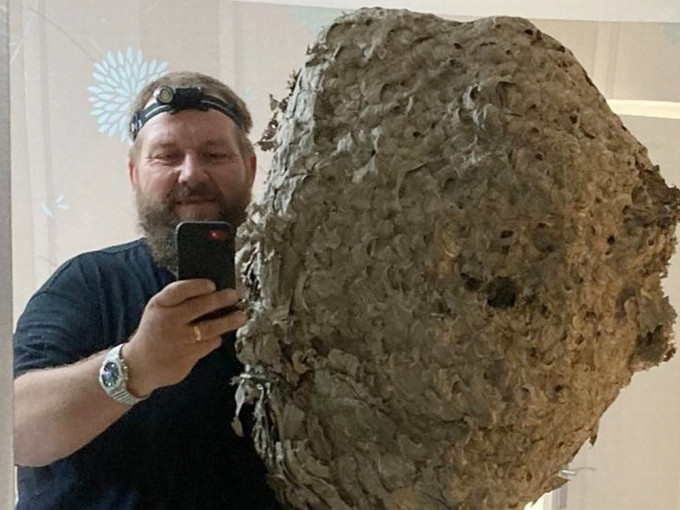 克魯斯驚呼這是他從業24年以來發現最大的黃蜂巢。網圖