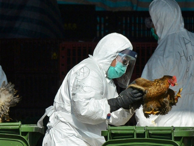 衞生防护中心密切监察，湖南40岁女子感染H5N6禽流感个案。资料图片