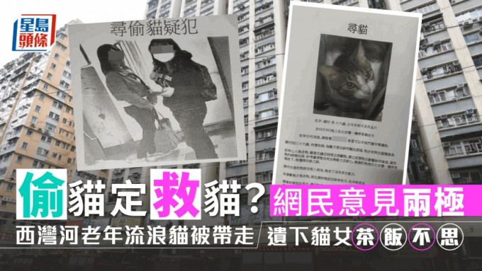 在太安楼停车场生活的「猪仔」疑被两名女子偷走，随后引起热议。资料图片/「天下猫猫一样猫群组」FB