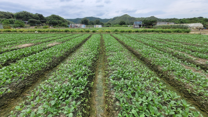 嘉道理農場擔心拓展北部都會區，會對生態資源造成不可逆轉的影響。嘉道理農場fb圖片