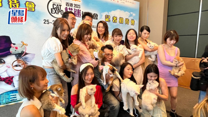 亞洲最大型貓主題博覽「香港貓迷博覽會 2023」8月登場。（黃子龍攝）