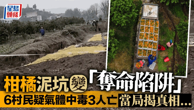 重慶開州村民柑橘填坑變「奪命陷阱」 腐爛後產生毒氣致3死