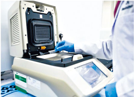 检测Omicron的PCR机器。