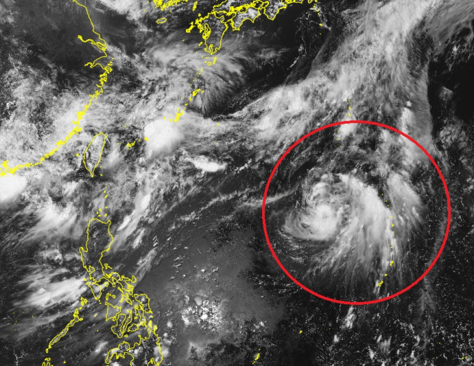 熱帶風暴薔琵。日本氣象廳衛星雲圖