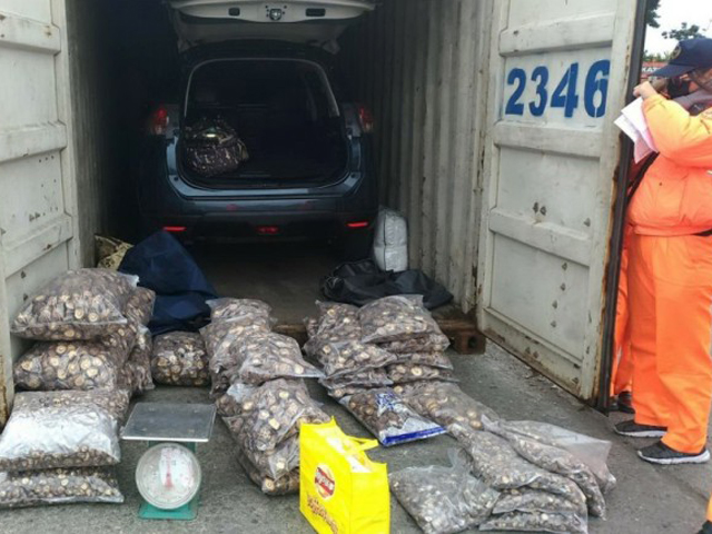 當地執檢人員於一輛車的車尾箱及備用輪胎夾層中查獲43包疑似大陸冬菇，重量約90公斤。 網上圖片