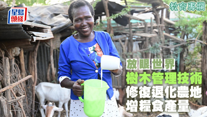 肯尼亚农民Gladys应用FMNR技术后，在长期乾旱的情况下，她仍有足够的饲料，让山羊得以幸存。