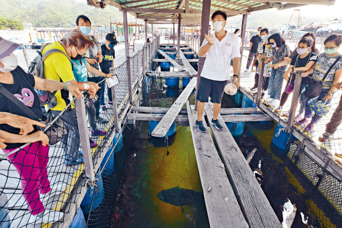 第二輪首批本地團團友在南丫島漁民文化村遊覽。