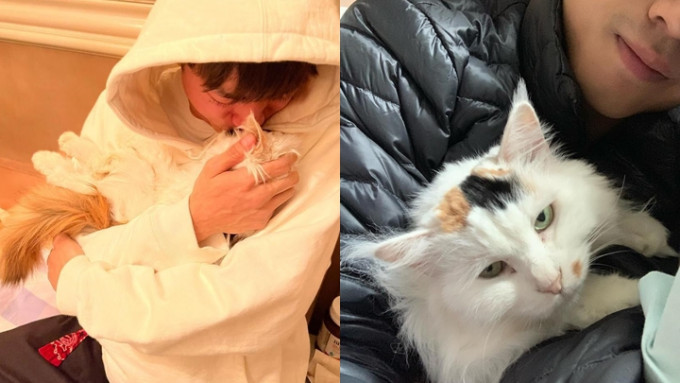 江𤒹生20岁老猫离世 ：感谢你教懂我如何去爱。