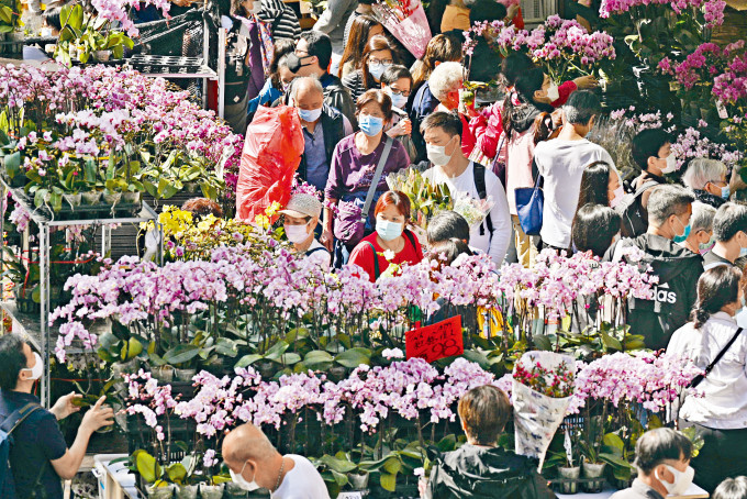 ■维园及旺角花墟(图)等年宵花市吸引大批市民入场，场面热闹。