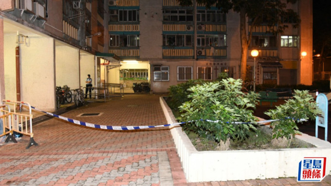 大埔廣福邨傷人案警再拘兩男 累計5人落網。資料圖片