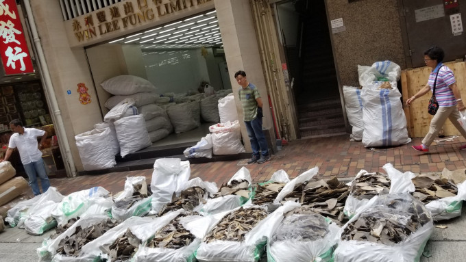 有商人偷运鱼翅到香港。海洋守护者协会图片