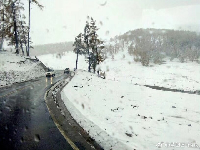 新疆大雪纷飞。网上图片