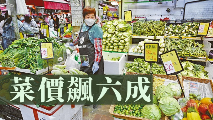 疫情打乱运输链，街市菜档多种蔬菜价格急升。
