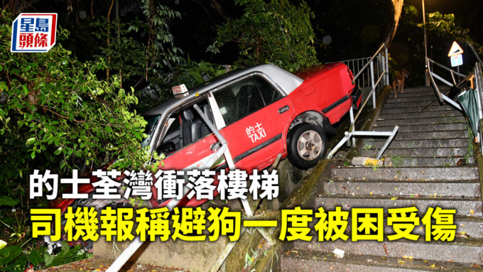的士衝樓梯｜司機報稱避狗肇禍 10米欄杆被撞毀
