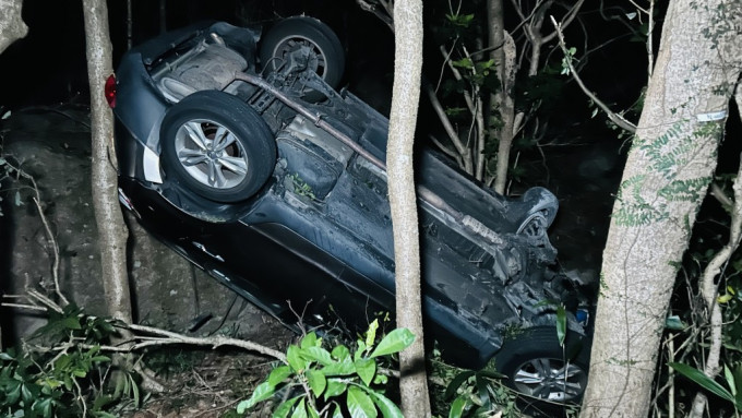 私家車四輪朝天擱在樹叢中。蔡楚輝攝