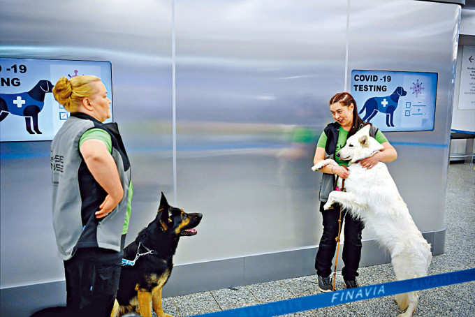 新冠病毒嗅探犬与训练员，周二现身赫尔辛基机场。