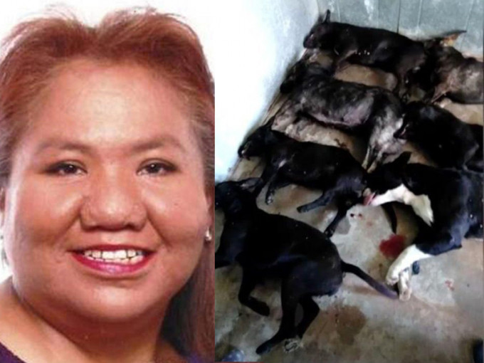 美國一名女子被鄰居家的7隻臘腸犬咬死，警方射殺了其中1隻狗，其餘6隻狗全部被實施了安樂死。（網圖）