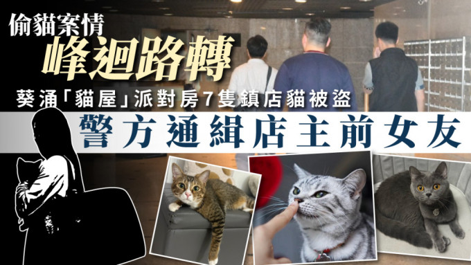 葵涌「猫屋」派对房7只镇店猫被盗 警方通缉店主前女友。