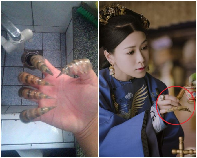 虾壳套上手指，随即变成古代妃嫔手上的「护指」。网图
