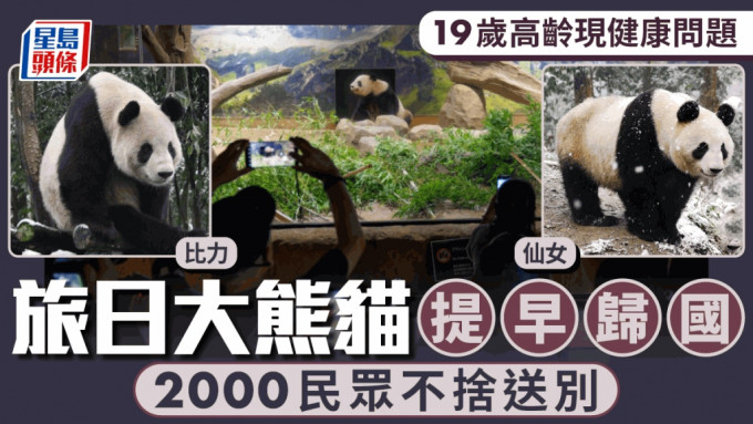 9月28日，遊客到日本東京上野動物園告別大熊貓「仙女」。(新華社)