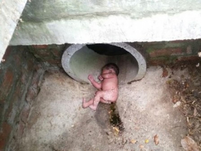 女婴被狠心遗弃在冰冷的雨水渠中，邻近红火蚁巢穴。（网图）