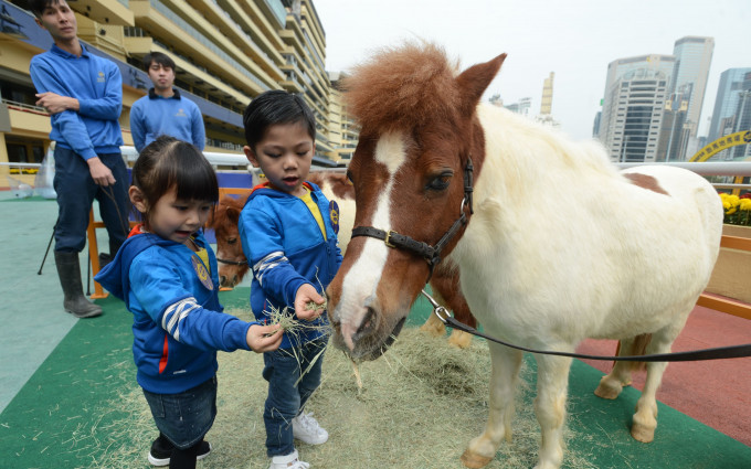 馬會計畫在彭福公園興建馬術體驗中心，並提供公眾試騎。資料圖片