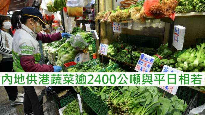 政府指内地供港蔬菜逾2400公吨，与平日相若。 资料图片