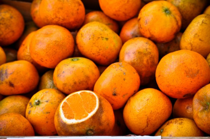 研究建議多進食柑橘類水果例如橙、柚子。AP