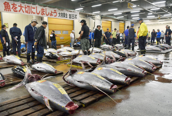 筑地市场举行最后一次吞拿鱼拍卖。AP