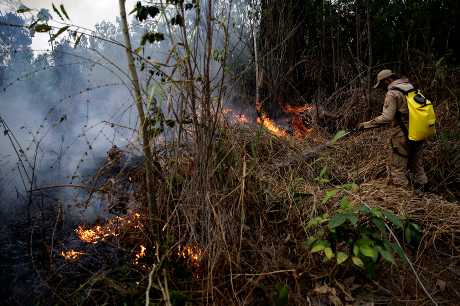 亚马逊雨林发生大规模森林火灾，引起全球关注。资料图片