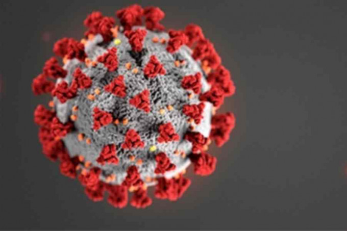 研究發現其中一個新冠病毒已變異。資料圖片