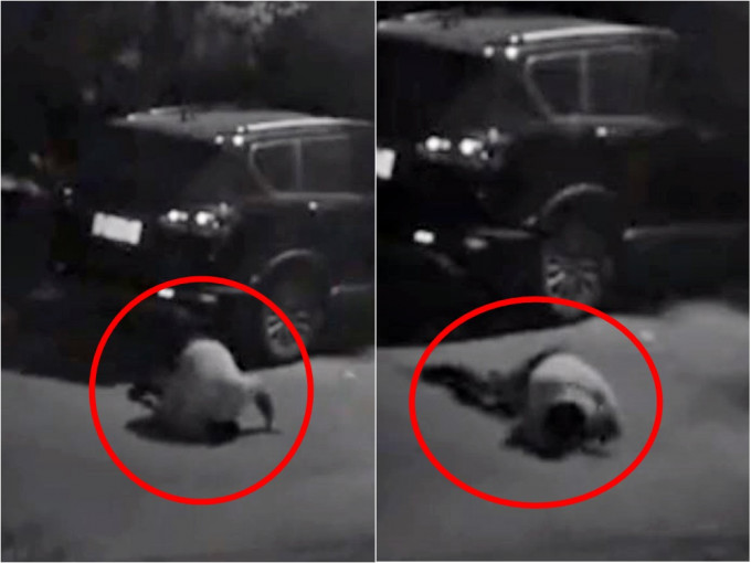 杭州一名醉酒女子于街上跪地爬行，诡异的姿势让人误以为是「贞子」。网图