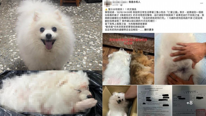 台湾男子在公园遛狗时受袭，其松鼠狗遭男子用伸缩棍活活打死。