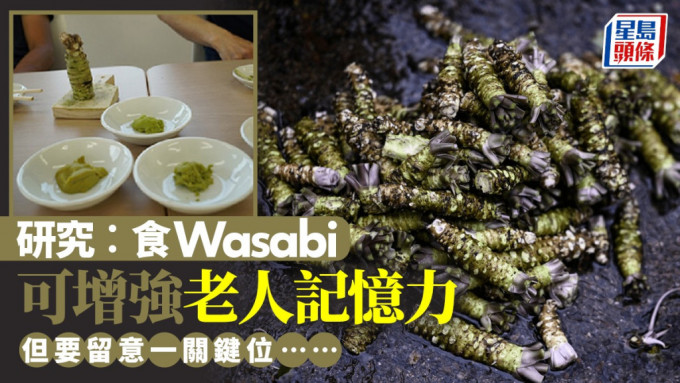 研究指食Wasabi可防老人失智，增強記憶與認知能力。