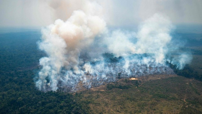 森林大火延燒面積已達約1萬公頃。互聯網圖片