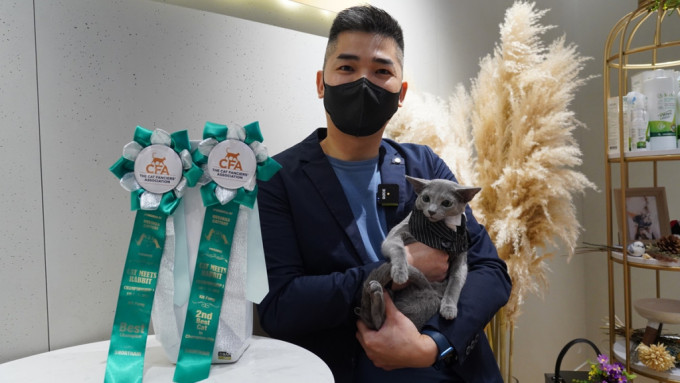 明星猫「MC 丁」获短毛新秀冠军猫第一名。叶伟豪摄