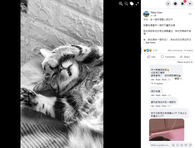 有饲主用爱猫的黑白照开愚人节玩笑。网民Takey Chan图片