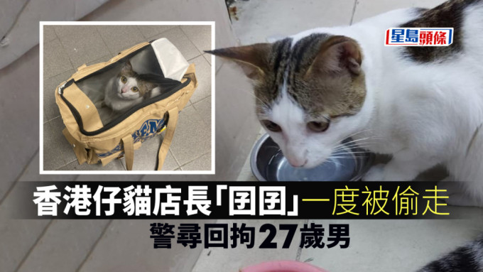 警方寻回涉案猫只。