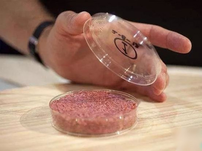 中國將於9月在深圳推出首款「人造肉」漢堡。　網圖