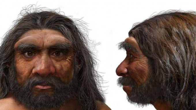 Archaeological discovery ︱Mysterious million-year-old cranium was reconstructed, which can clear up the thriller of the origin of the “Dragon Man”